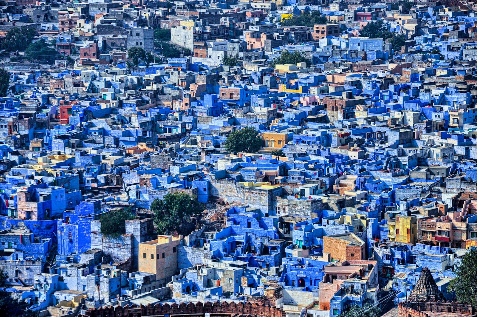 The blue rooftops of Jodhpur's old city, seen from Mehrangarh Fort